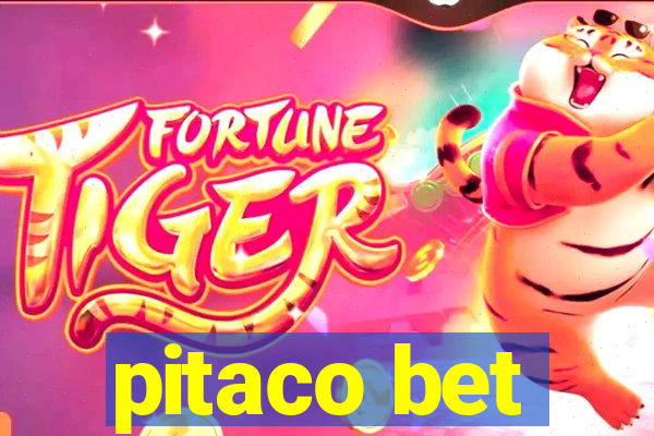 pitaco bet