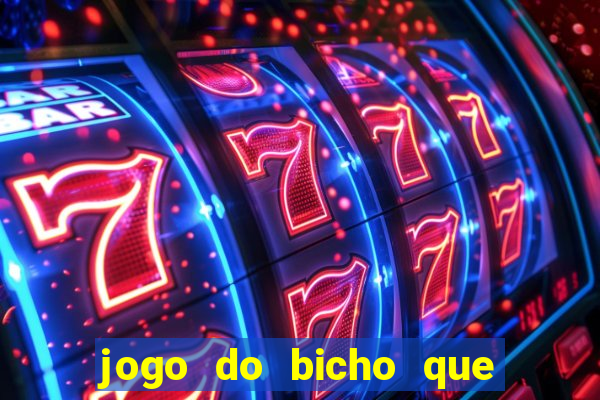 jogo do bicho que paga no pix