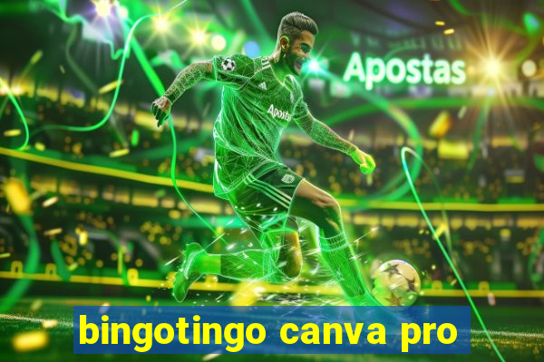 bingotingo canva pro