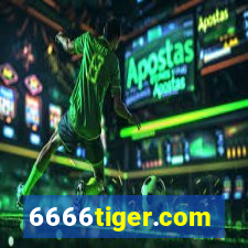 6666tiger.com